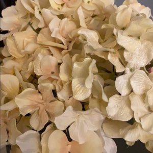 Meet your Posher, Rhonda